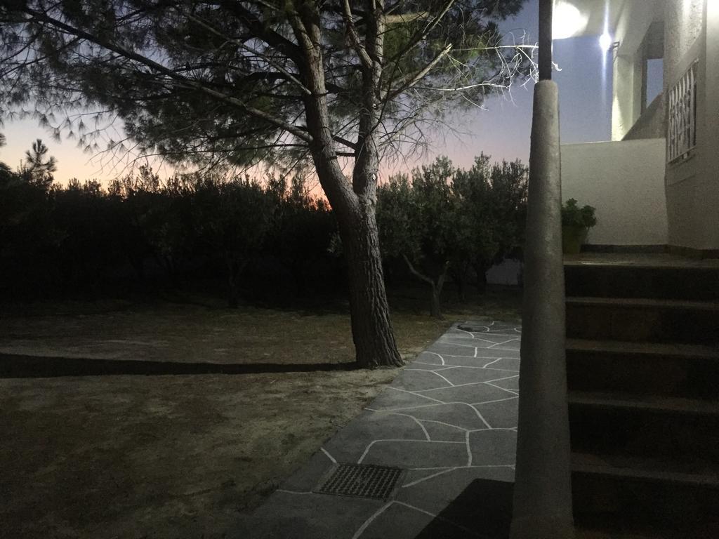 Apartament Phoenix Beachside Neratza